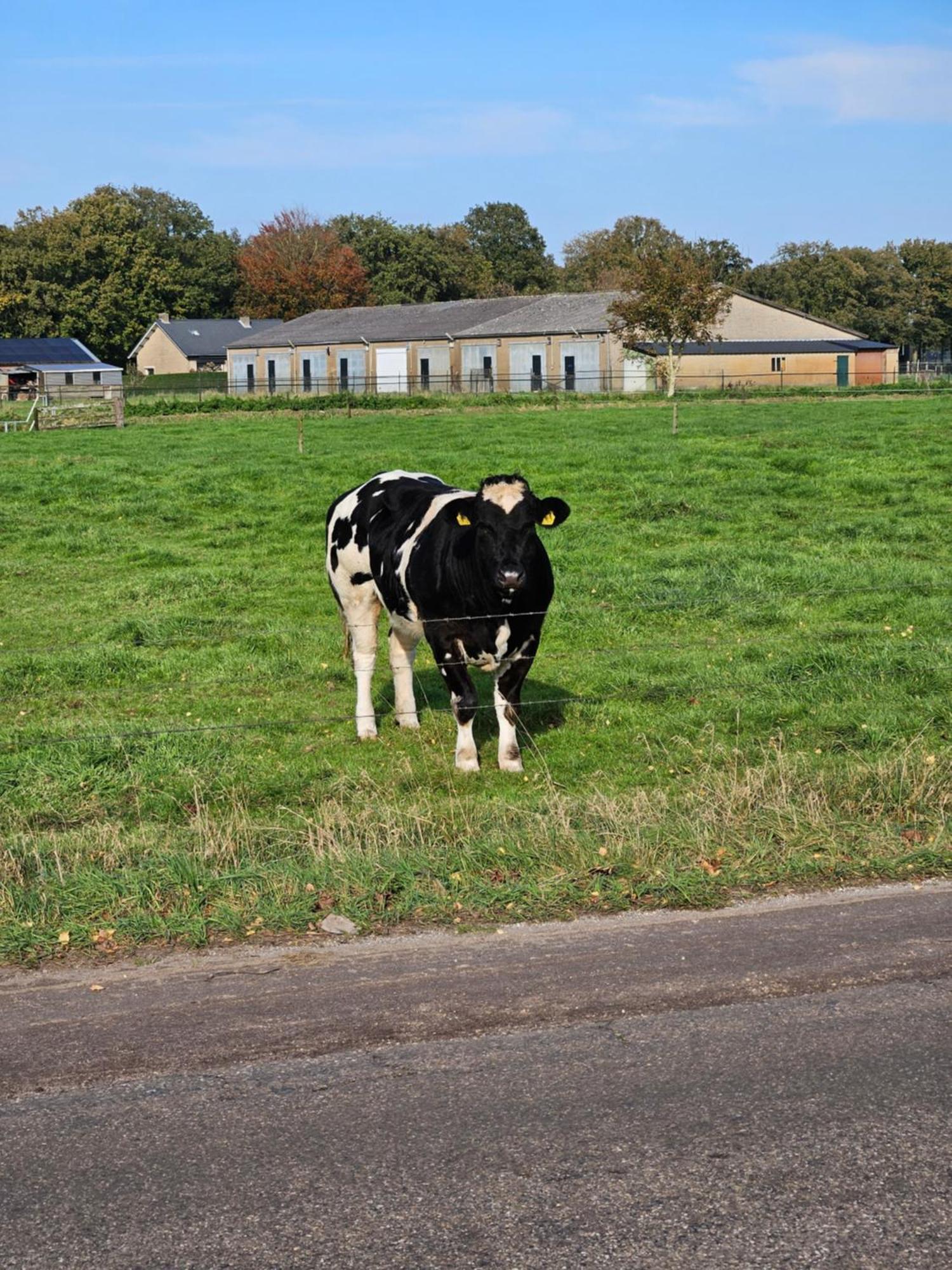 Bed & Breakfast Boekel エクステリア 写真